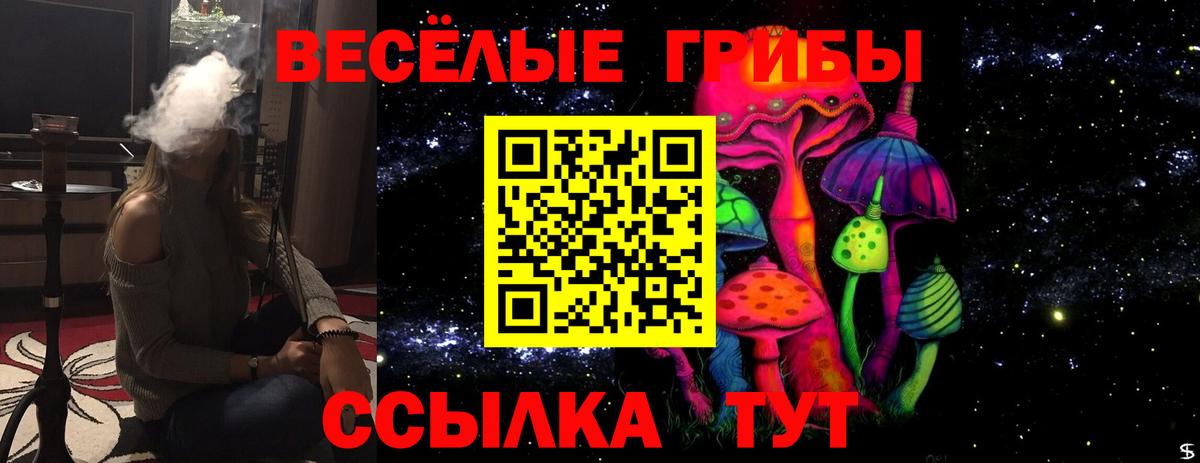 Галлюциногенные грибы Psilocybe  Вход с VPN  Елабуга 