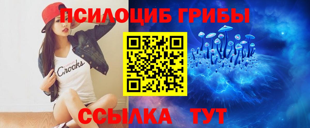 Галлюциногенные грибы Psilocybe Елабуга