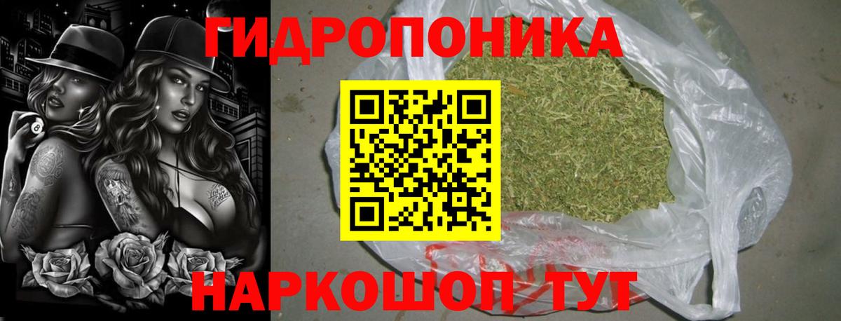 Елабуга  Каннабис конопля  Шишки марихуана план  Вход с VPN  Бошки марихуана план 